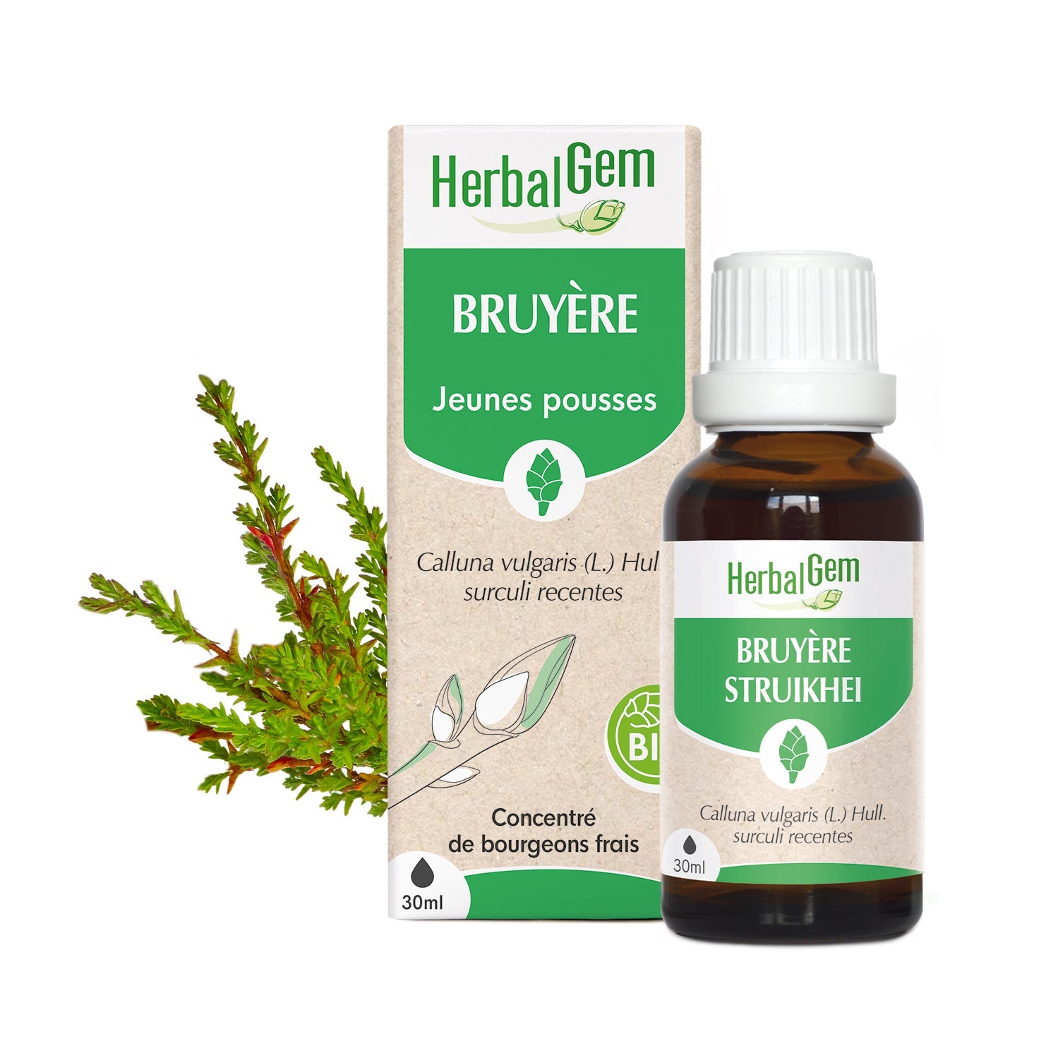 BRUYÈRE - Bio