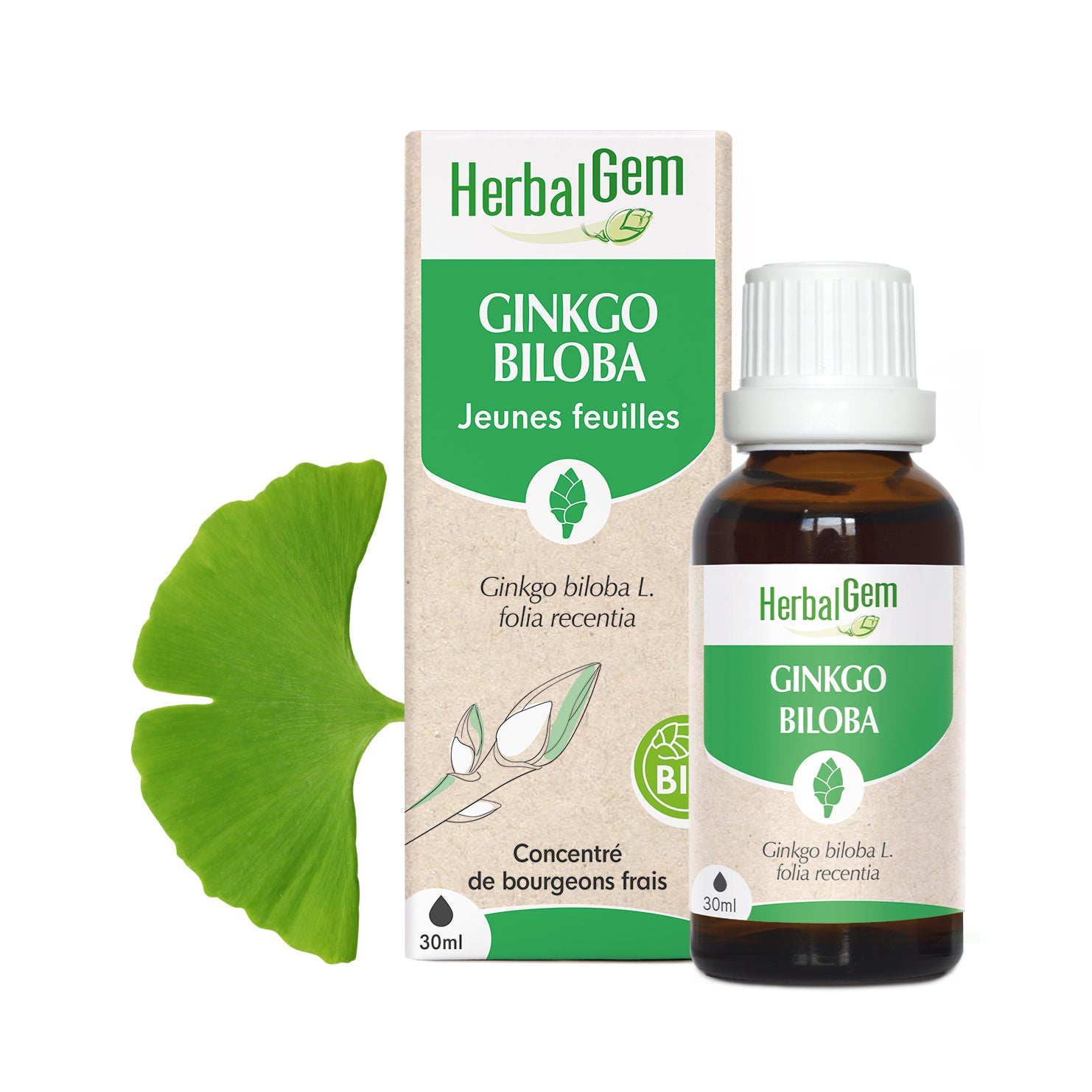 GINKGO BILOBA - Bio